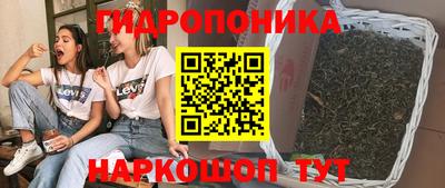 крисы Нарткала