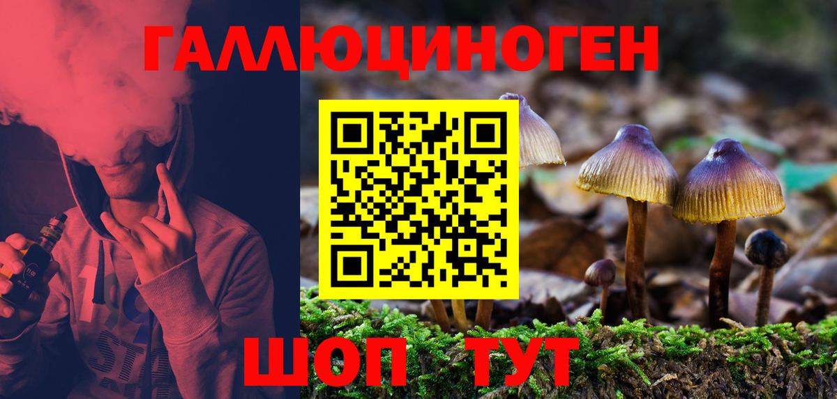 Псилоцибиновые грибы Psilocybine cubensis  Вход с VPN  Ноябрьск 